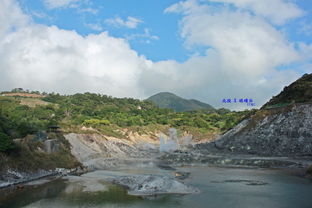 深度剖析 免费背后的隐形成本