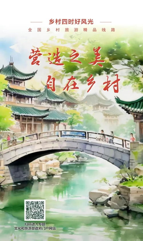 第八章：金鸡湖边的风与广场舞大妈