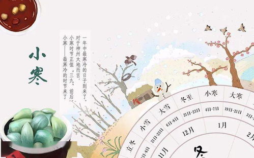 ‘将冬寒水冷’和‘十二生肖地冻天寒’分别指的是哪个生肖年份？