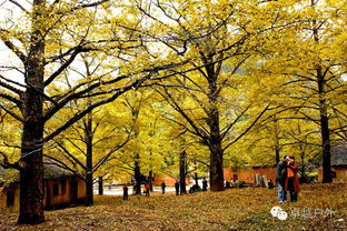 一、 那些个地方，真好堪！