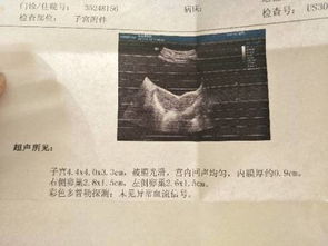 各种炎症类型：一场繁杂的军备竞赛