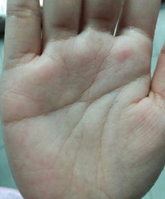 （二）婚姻线与感情线交错：婚姻契约的破裂风险