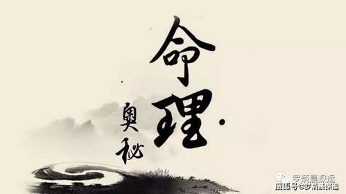 天月二德八字命运，李双林八字断命运，能否详细分析其命运走向？