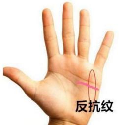 手相五条纹路如何解读？女士手相纹路图解分析
