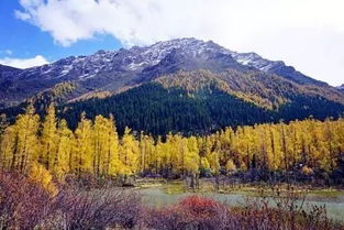 5. 五峰山：我承认我恋爱了！！！