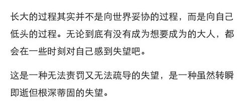 四、  多元文化语境下的网名分类与深度解读