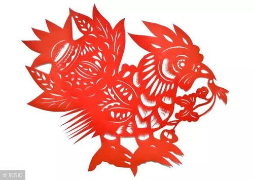 属鸡女2026年如何化解灾星？属鸡人2026年家庭运势如何？