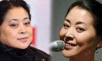 1. 发型选择的结构性分析