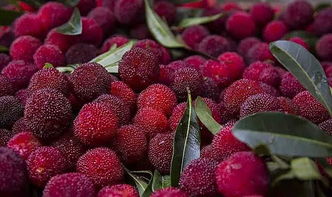 准妈妈的杨梅奇遇：生女宝宝的粉色预警