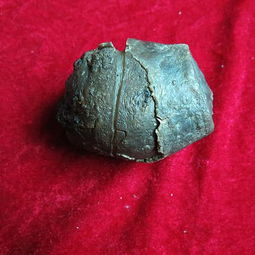 2026年太岁真实长相图片和2025年太岁图片大全长什么样？