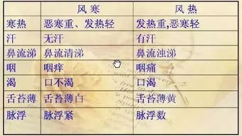 3.1 臀部宽大——生养能力與家庭財源之关联