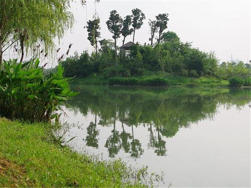 震惊！南昌艾溪湖竟然藏着这种惊天大秘密！2026年去的人都要哭了！