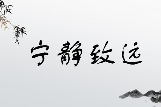 二、典型组合案例（带噪音）