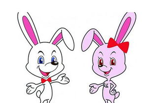 十二生肖属兔今年运势如何，每日运势具体指什么？