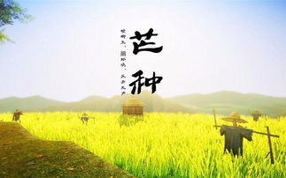 2026年属哪个生肖的人适合芒种后结婚吉日？