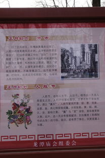 历史持续发展沿革与现代化传承