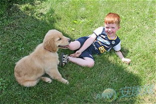 如何为2026年出生的狗宝宝取一个大气且适合2018年狗宝宝女孩的名字？