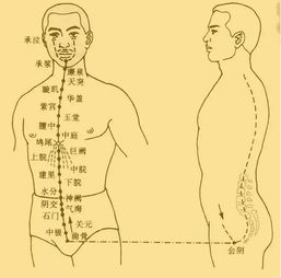 四、  玄学视角下的特殊穴位：额头“混沌穴”与“厄狐眼”