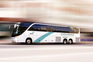 二、 寻找机场大巴：一场冒险（或是生存训练）