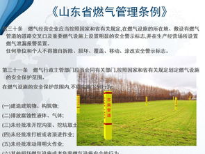 个人经验分享及案例分析