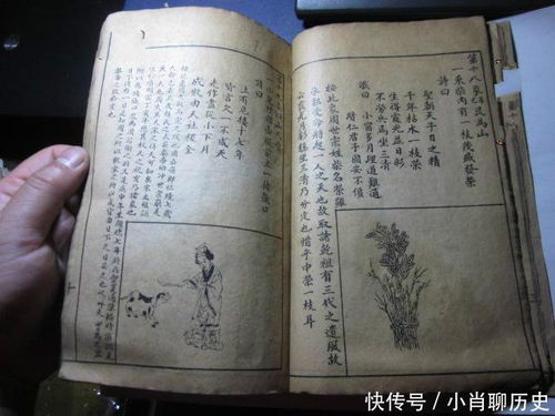 诸葛神算19签全解与刘伯温预测书全集内容解读，能否详细讲解？