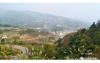 荥经县柏香村文化圣地：老少皆宜的微旅行