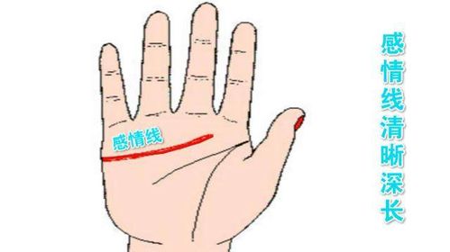 1.2 感情线的形态与情感纠葛