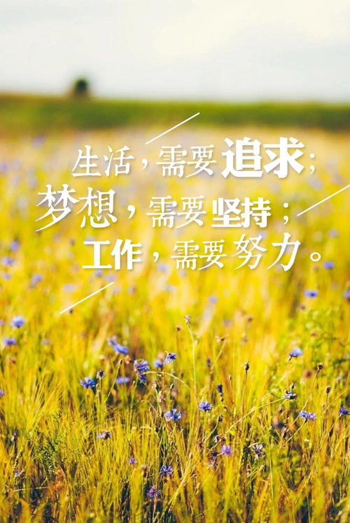 三、 早安心语文本的结构性解读与实际价值取向