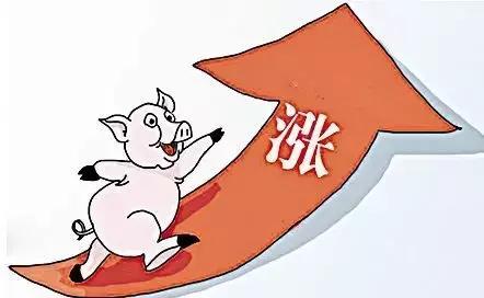 二、  财库补养的周期性探究：年年补财的必要性分析