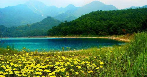 住宿与餐饮：钱包的噩梦