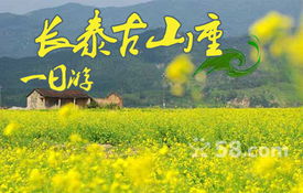 古山重：稻田里的“非典型”田园诗