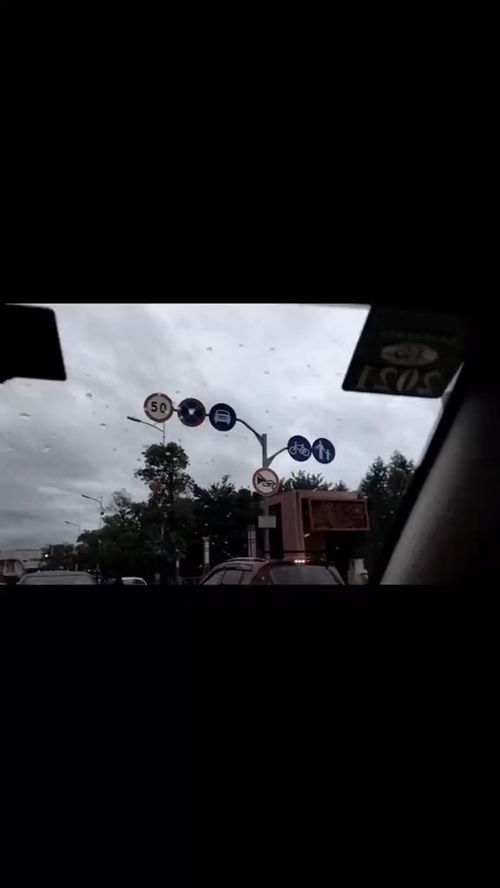 双子座：灵活多变的思维模式与挑战的适应性应对