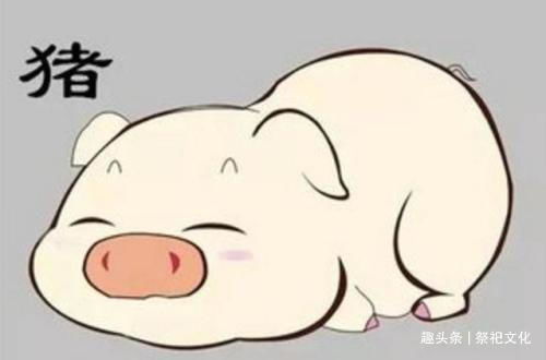 理论基础：生肖性格类型学与社会周边环境资本理论的融合