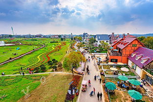 二、 门票与增值服务：钱包大出血套餐