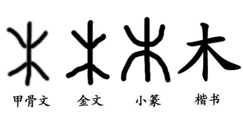木字旁的字都长啥样
