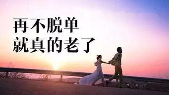探讨与启示