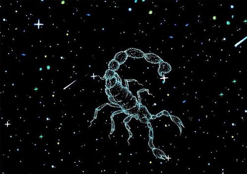 【紧急避雷】这些星座都是精神病院VIP