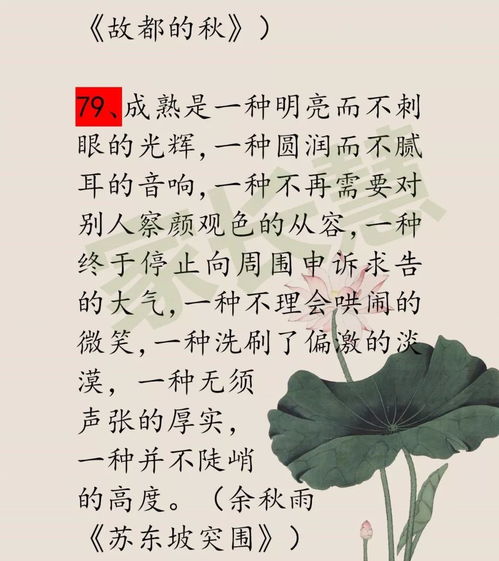 八字命运名言如何改写为长尾？