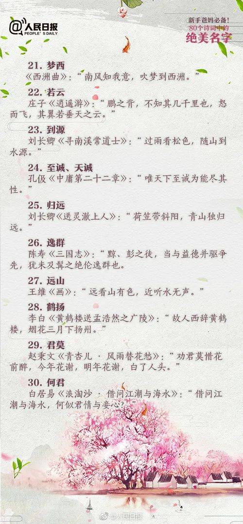 整体分析：一个充满诗意的名字