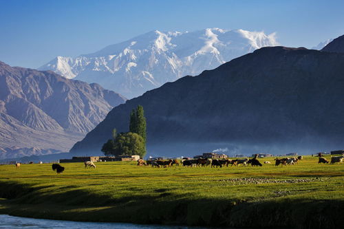 峰哥惠旅游攻略分享：一场说走就走的灾难