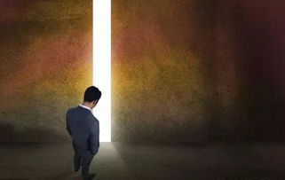 八字中食伤泄秀如何展现个人才华？为何这种格局如此罕见？