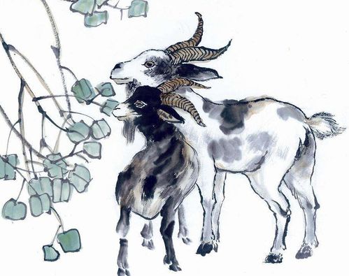 属羊的人性格脾气和爱情特点有哪些？