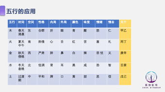 专业术语及其内在含义