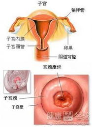 应对措施与注意事项