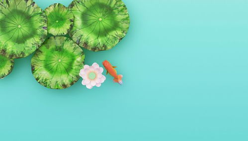 一、 立夏节气的天文定位与历法意义