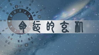 1.2 条件约束与判定要点