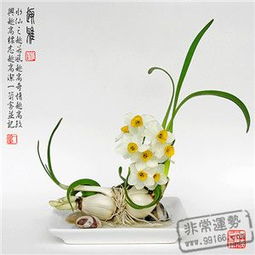 3. 水仙（Narcissus poeticus）——万事如意与思念团圆之象征