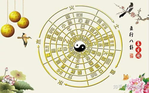 八字中子水代表什么？壬的根是亥水还是子水？