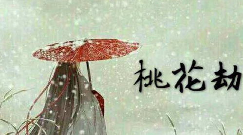 3. 思琪：桃花劫的预兆！（强调！）