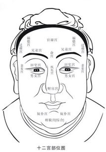 眉毛：财运与人际关系的桥梁